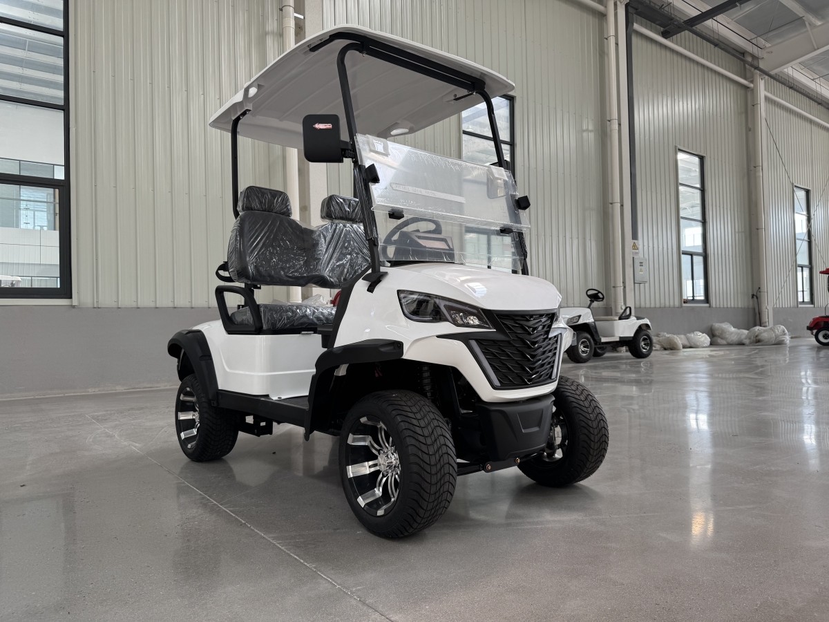 2-Seater Golf Cart – Side View